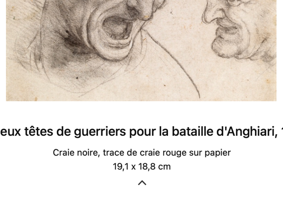 vBook v5 - fiche oeuvre avec decription